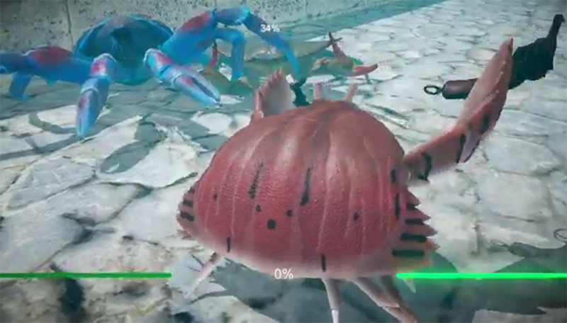 Illustration for article titled Crab Battles Get Turned Into A Real Video Game